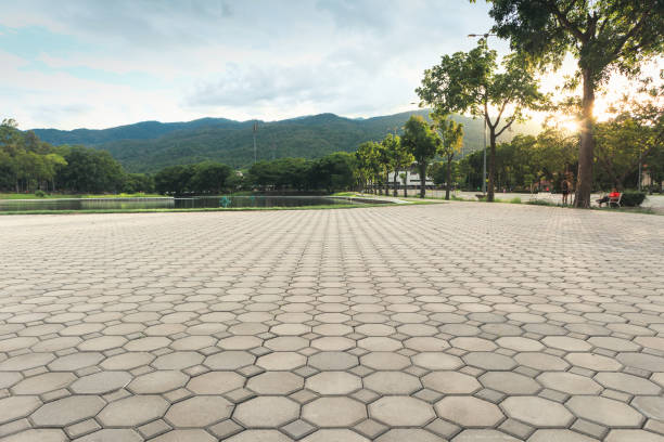 Best Interlocking Driveway Pavers  in Wayne, MI