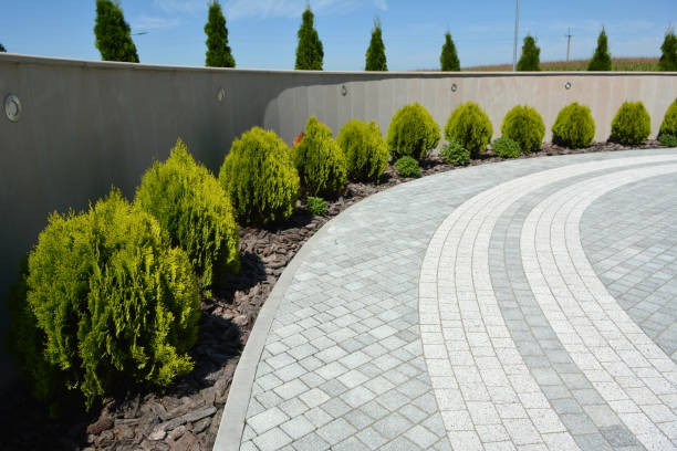 Best Driveway Pavers for Homes  in Wayne, MI